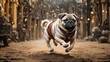 A playful pug dog running in the middle of a street