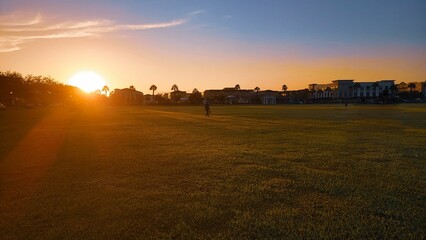 Poster - Picturesque townscape illuminated by a golden sunset in a lush grassy field