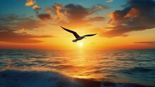 Gorgeous Sea Sunset With Bird Silhouette Flying