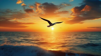 Poster - Gorgeous sea sunset with bird silhouette flying