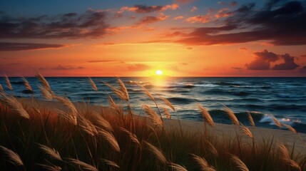 Aufkleber - Sun setting on beach with grass in front. silhouette concept