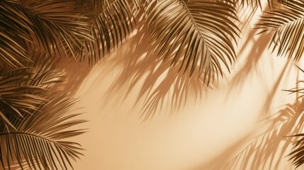 Aufkleber - Palm tree leaves casting shadows on eco friendly cardboard. silhouette concept