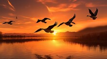 Canadian Geese Flying Over Wildlife Refuge In California During Sunset. Silhouette Concept