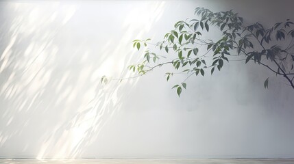 Canvas Print - Blurry background of a white wall with shadows of tropical leaves and sunlight. silhouette concept