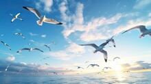 Seagull Birds Blue Sky. Silhouette Concept