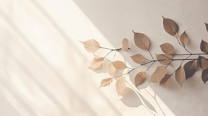 Aufkleber - Leaves on a branch with a shadow against a white textured wall. silhouette concept