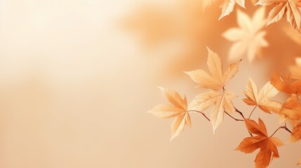 Aufkleber - Minimalistic autumn background with maple leaf shadows on beige. silhouette concept