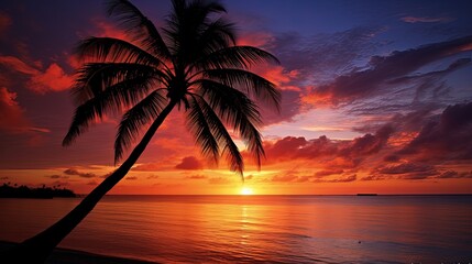 Poster - Gorgeous sundown featuring palm trees silhouette