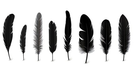 Aufkleber - Gorgeous set of black feathers alone on a white backdrop. silhouette concept