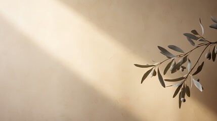 neutral pastel beige wall adorned with olive tree branches. silhouette concept