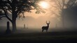 Foggy morning silhouette of a deer in cemetery