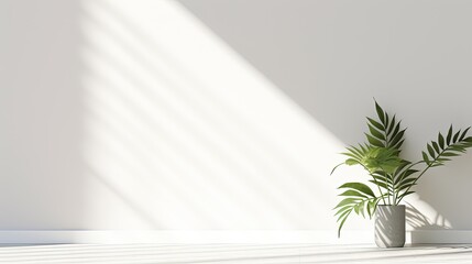 Aufkleber - Simple white wall with blurred foliage shadow on light background Perfect backdrop for a presentation on a sleek floor. silhouette concept