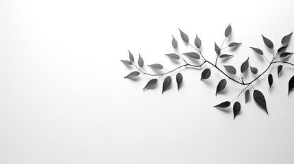 Aufkleber - Shadow of tree leaves on white wall background. silhouette concept
