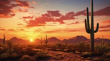 Sonoran Desert Sunset In Phoenix Arizona Featuring A Large Saguaro Cactus. Silhouette Concept