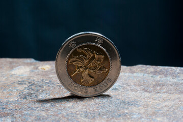 Wall Mural - Closeup of  a silver 1 Dollar 1994 Hong Kong on the rocky surface with a dark background