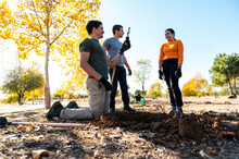 Volunteers Group In Cooperative Teamwork Planting Trees 