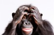 Protective Gesture: Ape Covering Eyes, Ears, and Mouth on White Background, Conveying Messages of Caution and Warning, Encouraging Vigilance and Watchfulness to Avoid Potential Threats
