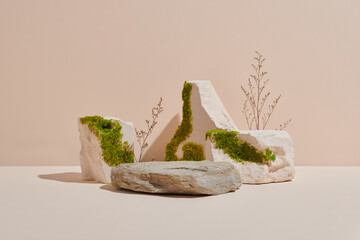 Composition of stone and moss on pastel background