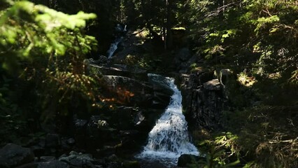 Canvas Print - Landscape sunny cascade Lolaia Waterfall on mossy rocky in Retezat Biosphere Reserve, Romania