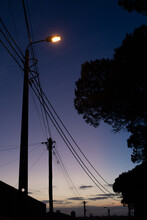 Street Light In Dusk Sky With Plant