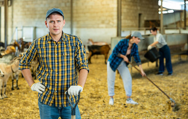 Wall Mural - Confident positive male farmer, engaged in breeding dairy goats, posing in goat shed ..