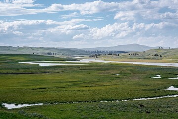 Sticker - Scenic landscape of beautiful green rolling hills of Yellowstone National Park in Wyoming.