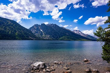 Wall Mural - Scenic view of Jenny Lake in Grand Teton National Park, Wyoming in the summertime.
