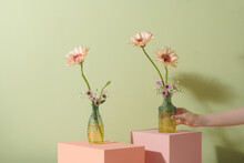 Gerbera Flowers In Glass Vases Isolated On Green Matcha Background