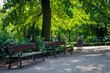 Letni spacer w słoneczny dzień w parku miejskim  Grudziądz, Polska. 