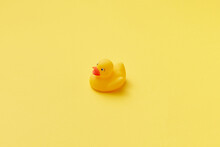 Cute Rubber Yellow Duck On Yellow Background.