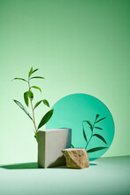 Podiums For Cosmetic Product Presentation With Fresh Tea Tree Branches
