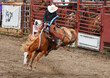 A cowboy is riding a bucking bronco at a rodeo in an arena. The horse has 4 legs off the ground. The cowboy is wearing black with white hat. There is a red metal gate behind. They are in a dirt arena.