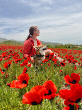 Girl And Corgi In Poppies Field