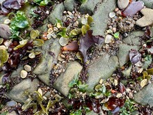 Closeup Of Sea Glass And Rocks At Glass Beach, California 