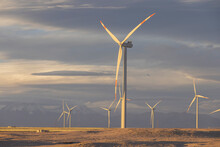 Wind Farm At Dusk