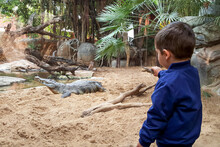 Back View Of Boy With Toy In Front Of A Crocodile