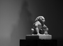 Stone Lions Carved With White Marble For Decoration At Home
