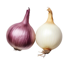 Canvas Print - White and purple onions arranged on a transparent background in a top down perspective