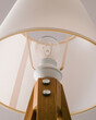 © Duet Postscriptum/Stocksy - Outdated incandescent light bulb in a sleek bedside lamp