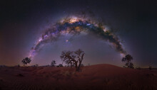 Milky Way With A Lonely African Tree, Namibia, Africa.