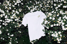 White T-shirt Hanging On A Rose Bush