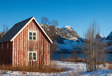 Old Hut On The Shore Of A Norwegian Fjord  