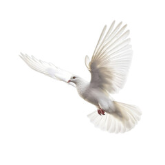 Flying White Pigeon isolated on transparent background, peace dove, Generative ai