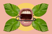 Collage With Mouth, Safety Pin And Leaves