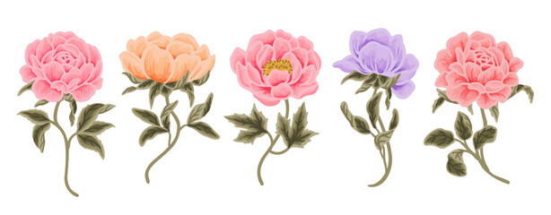 Wall Mural - Colorful hand drawn wildflower, rose, peony flower, and leaf branch vector clip art illustration collection	