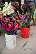 Buckets Of Cut Flowers For Sale At Farmer's Market
