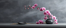 Blooming Pink Orchid Against A Dark Wall. Simple Elegant Floral Arrangement.