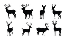 Collection Of Deer Silhouette. Deer And Reindeer Isolated On White Background. Christmas Decor. Vector Illustraiton.