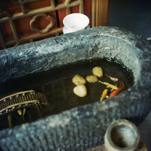 A Small Fish Pond Built With Stones
