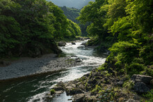Beautiful Stream River In The Nature